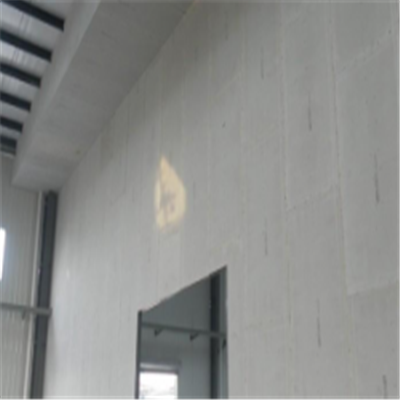 历下宁波ALC板|EPS加气板隔墙与混凝土整浇联接的实验研讨
